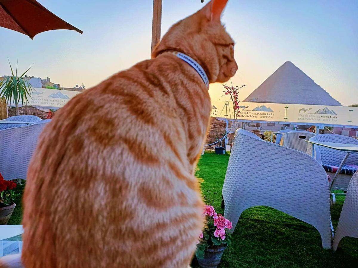 Kafret el-Gabal Carpet Alaadein Pyramids View酒店 外观 照片